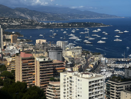 Baie de Monaco