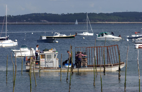 France - Arcachon - Illustration
