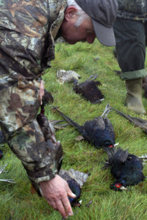 France - Société - Chasse