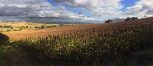 France - Régions - Nature