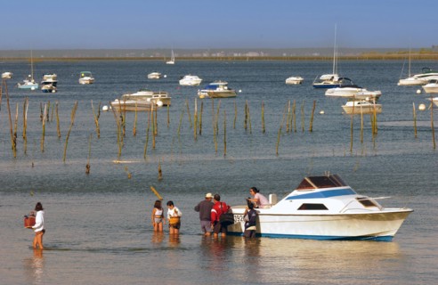 France - Vacances - Cap Ferret