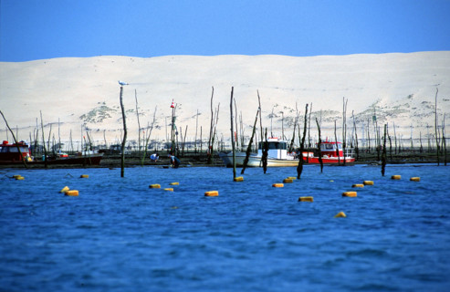 France - Vacances - Cap Ferret
