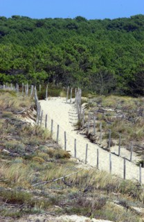 France - Vacances - Cap Ferret