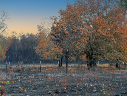 France - Gironde - Incendies été 2026
