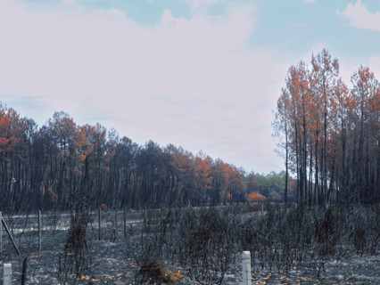 France - Gironde - Incendies été 2026