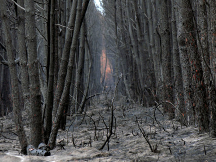France - Gironde - Incendies été 2026