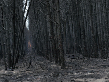 France - Gironde - Incendies été 2026