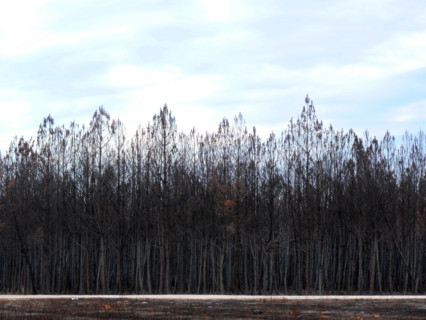 France - Gironde - Incendies été 2026
