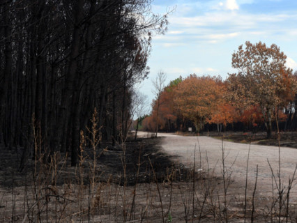 France - Gironde - Incendies été 2026