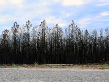 France - Gironde - Incendies été 2026