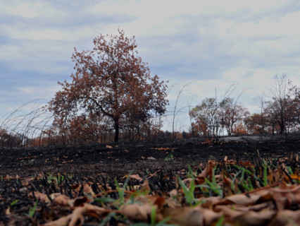 France - Gironde - Incendies été 2026