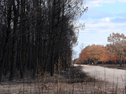 France - Gironde - Incendies été 2026