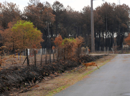 France - Gironde - Incendies été 2026