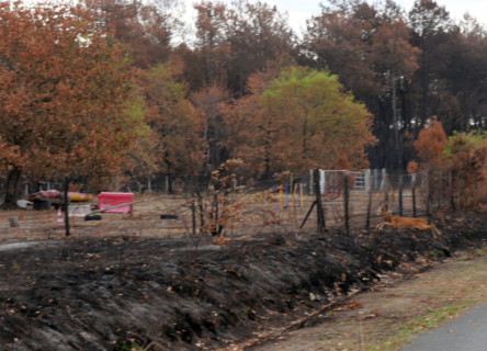 France - Gironde - Incendies été 2026