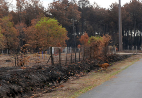 France - Gironde - Incendies été 2026