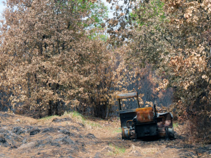 France - Gironde - Incendies été 2026