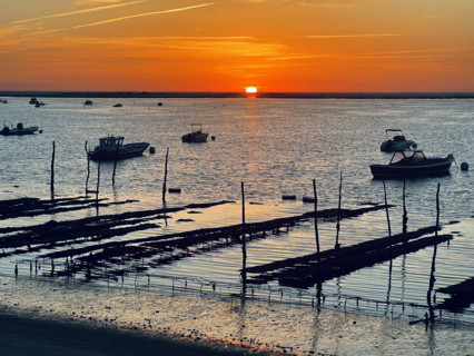 France - Régions - Bassin d'Arcachon