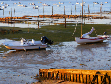 France - Régions - Bassin d'Arcachon