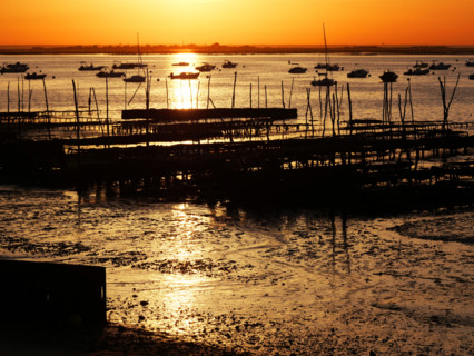 France - Régions - Bassin d'Arcachon