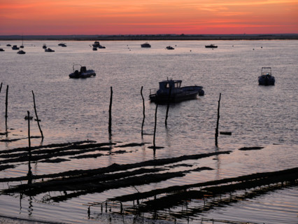 France - Régions - Bassin d'Arcachon