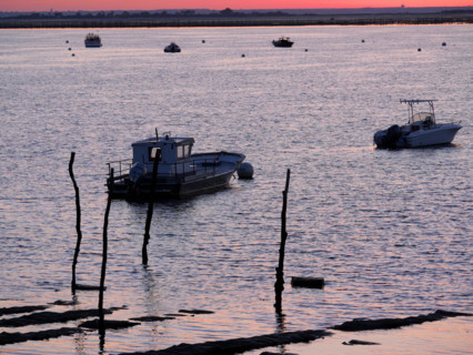 France - Régions - Bassin d'Arcachon