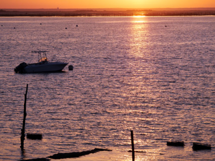 France - Régions - Bassin d'Arcachon