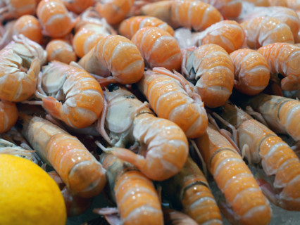 France - Société - Alimentation
