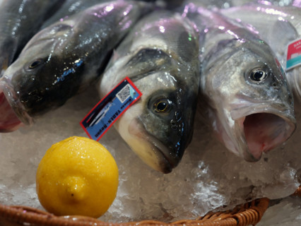France - Société - Alimentation