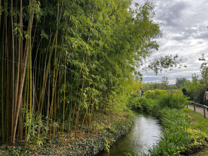 France - Culture - Musée Monet