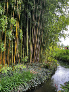 France - Culture - Musée Monet