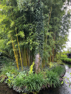 France - Culture - Musée Monet