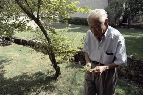 Portrait de Zao Wou-Ki, septembre 2003