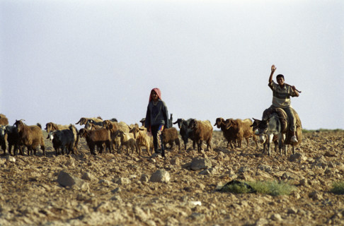 Regards de Jordanie, octobre 2004