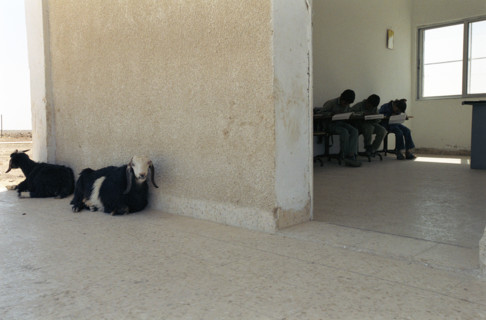 Regards de Jordanie