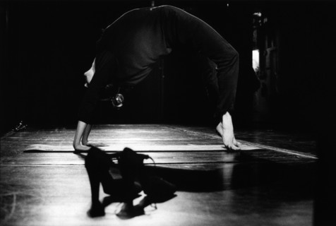 Le Lido de Paris: A one year of Bonheur