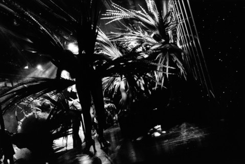 Le Lido de Paris: A one year of Bonheur