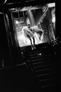 Le Lido de Paris: A one year of Bonheur
