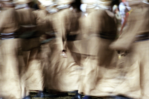 Festival royal du cheval et du chameau au Sultanat d'Oman, janvier 2006