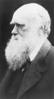 Darwin Charles
