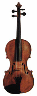 Violin