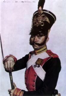 Soldier
Russia Campaign (June- December 1812).