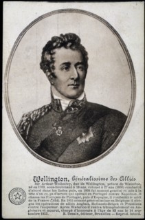 Portrait of General Wellington.