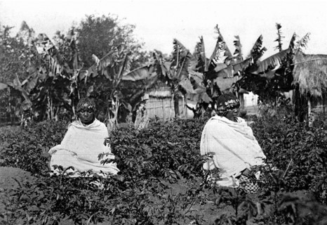 Portraits of Bezinozanos women, Madagascar