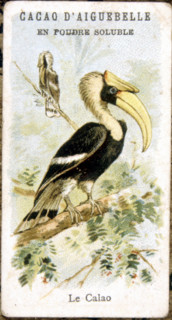 Advertisement for Aiguebelle cocoa