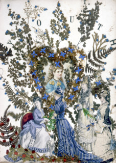 Herbier, illustration from the late 19th century