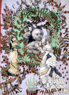 Herbier, illustration from the late 19th century