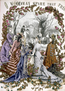 Herbier, illustration from the late 19th century