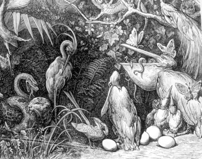 Rabelais, illustration de Gustave Doré
