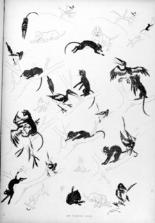 Chats, les voleurs volés par Steinlen