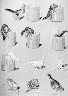 Chats, un effet de la gourmandise par Steinlen
